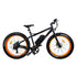Burch Electric Mountain Bike Eagle